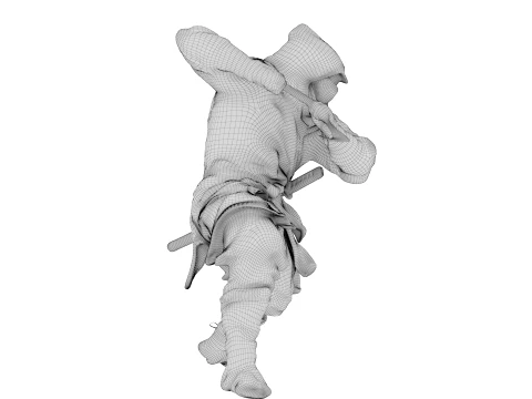 Ninja Shadow Warrior 3D Model
