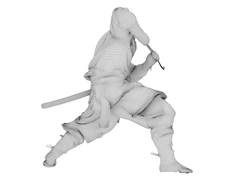 Ninja Shadow Warrior 3D Model