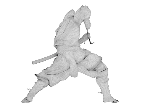 Ninja Shadow Warrior 3D Model