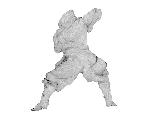 Ninja Shadow Warrior 3D Model