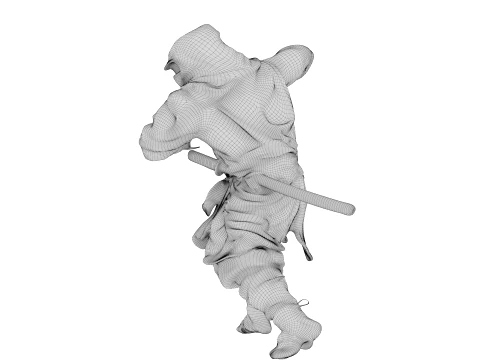 Ninja Shadow Warrior 3D Model
