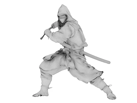 Ninja Shadow Warrior 3D Model