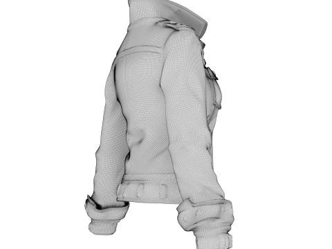 Denim Jacket 3D Model