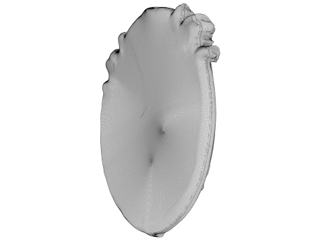 Escudo da Besta Modelo 3D