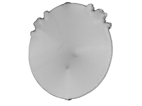 Escudo da Besta Modelo 3D