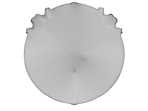 Escudo da Besta Modelo 3D
