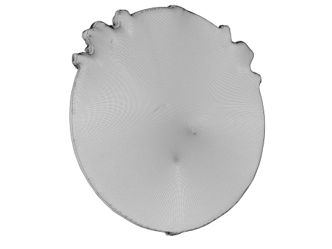 Escudo da Besta Modelo 3D