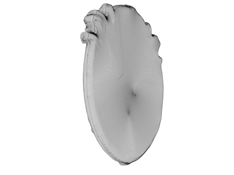 Escudo da Besta Modelo 3D