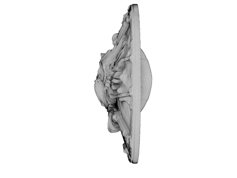 Winged Crest Shield 3D Model