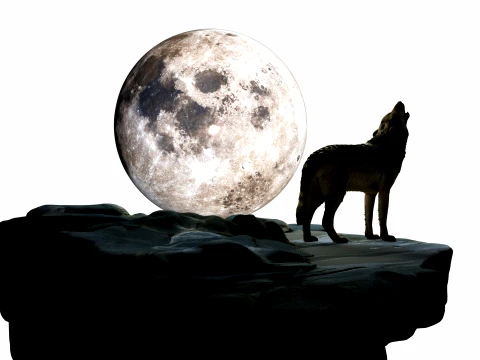 Howling Wolf 3D Model