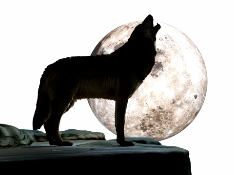 Howling Wolf 3D Model