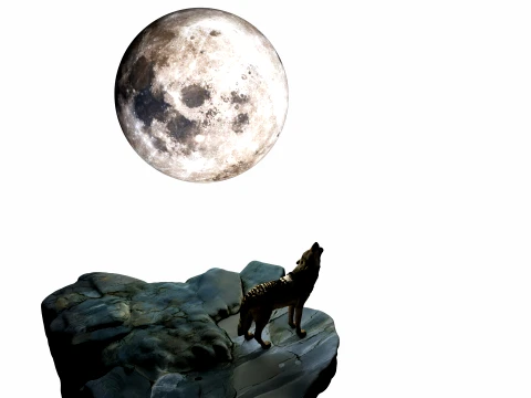 Howling Wolf 3D Model