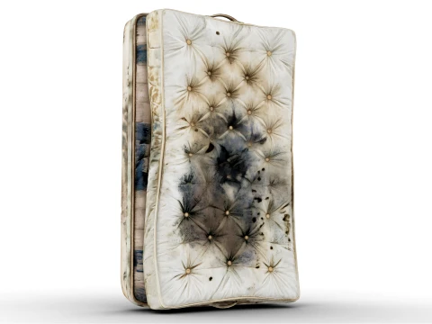 Dirty Mattress 3D Model