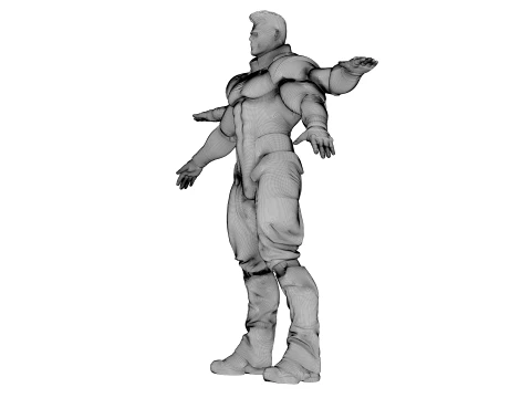 Quadra Arm Sentinel character 3D Model