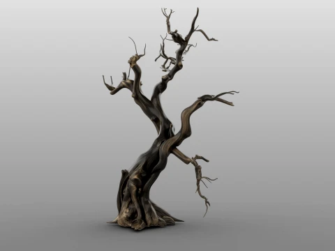 Burnt Tree 3D Model
