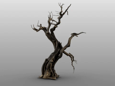 Burnt Tree 3D Model