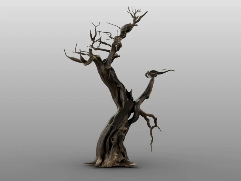 Burnt Tree 3D Model