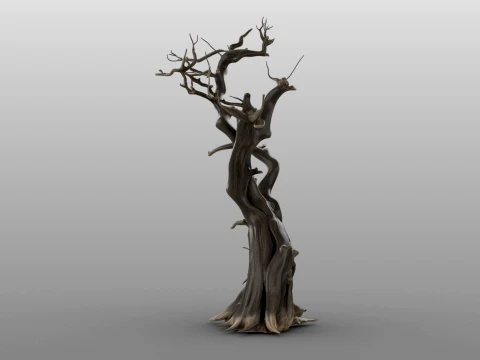 Burnt Tree 3D Model
