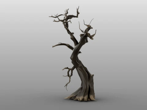 Burnt Tree 3D Model
