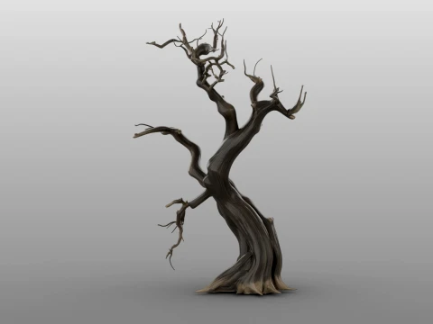 Burnt Tree 3D Model