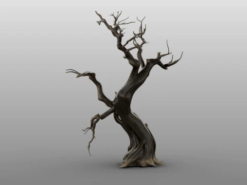 Burnt Tree 3D Model