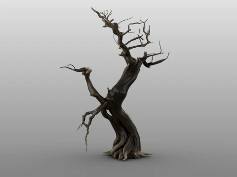 Burnt Tree 3D Model