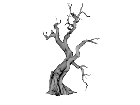 Burnt Tree 3D Model