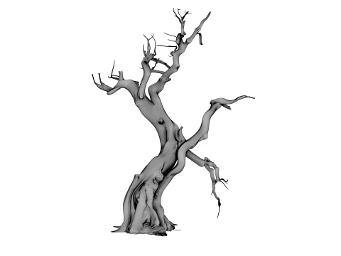 Burnt Tree 3D Model