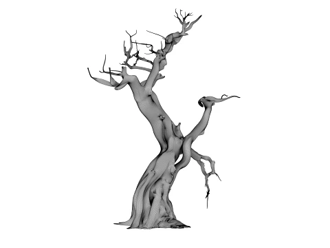 Burnt Tree 3D Model