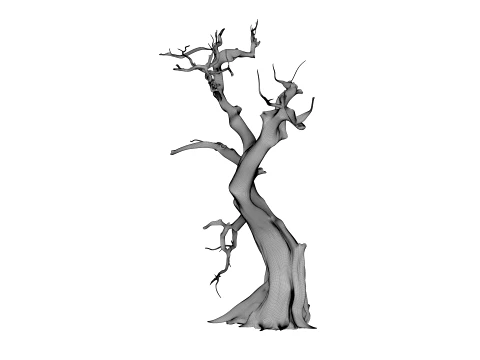 Burnt Tree 3D Model