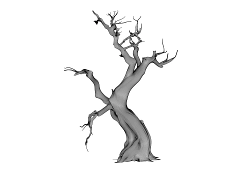 Burnt Tree 3D Model