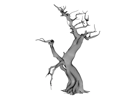 Burnt Tree 3D Model