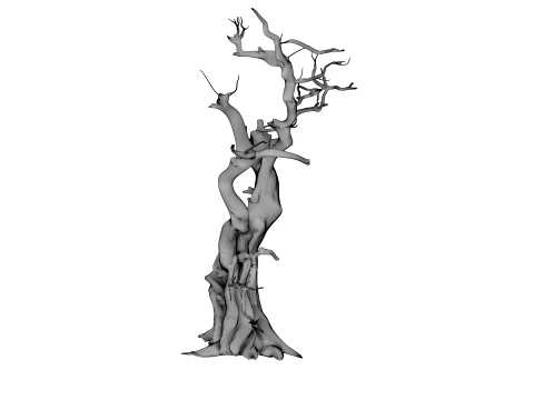 Burnt Tree 3D Model