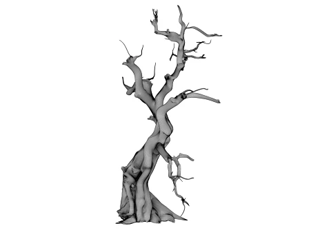 Burnt Tree 3D Model