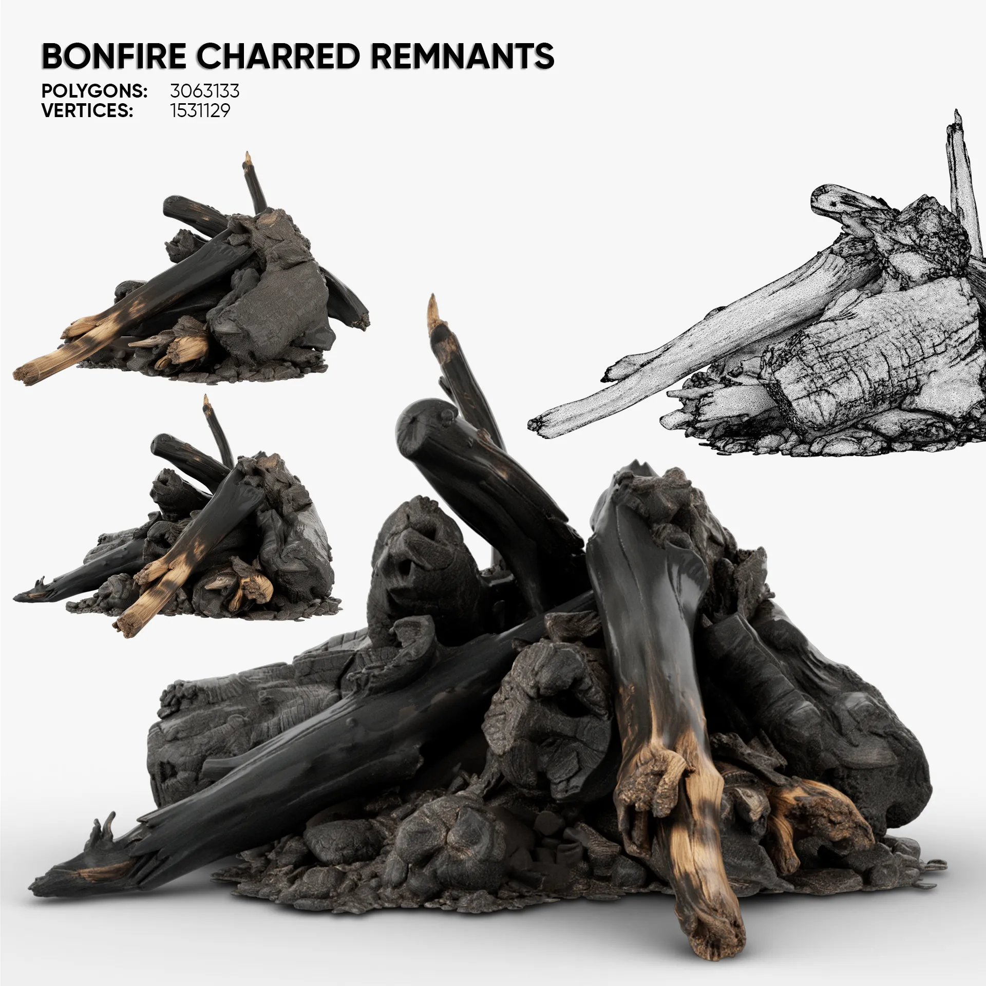Fire Charred Remnants 3D Model .c4d .max .obj .3ds .fbx .stl .blend 
