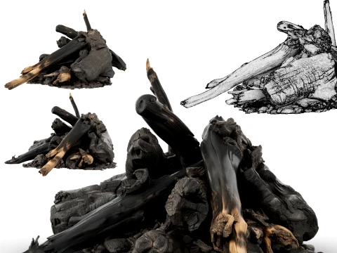 Fire Charred Remnants Model 3D