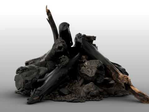 Fire Charred Remnants 3D Model
