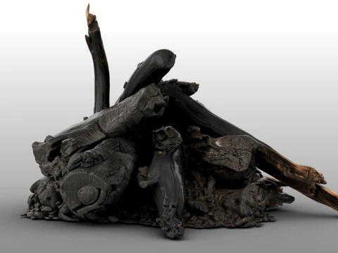 Fire Charred Remnants 3D Model