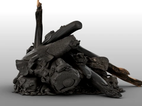 Fire Charred Remnants 3D Model