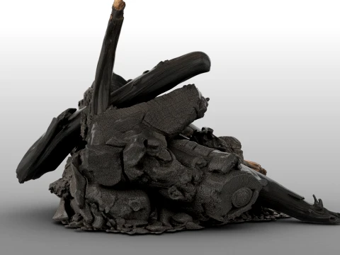 Fire Charred Remnants 3D Model