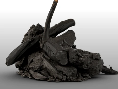 Fire Charred Remnants 3D Model