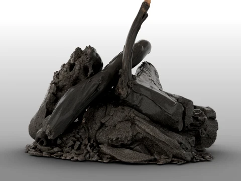 Fire Charred Remnants 3D Model