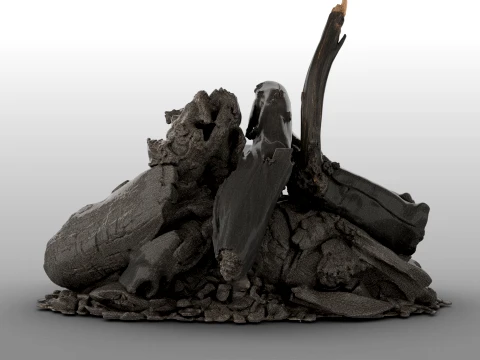 Fire Charred Remnants 3D Model
