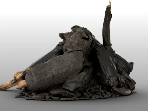 Fire Charred Remnants 3D Model