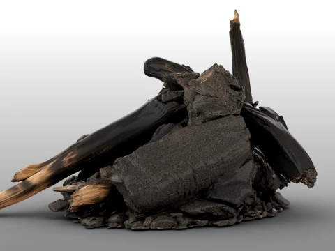 Fire Charred Remnants 3D Model