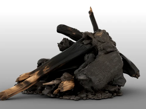 Fire Charred Remnants 3D Model