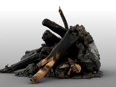 Fire Charred Remnants 3D Model