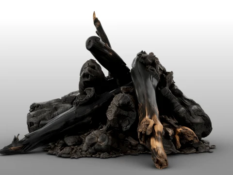 Fire Charred Remnants 3D Model