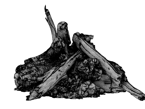 Fire Charred Remnants 3D Model