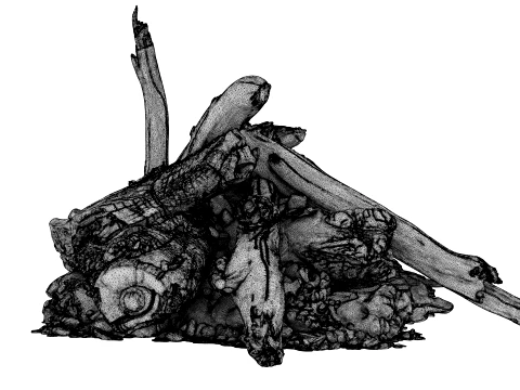 Fire Charred Remnants 3D Model